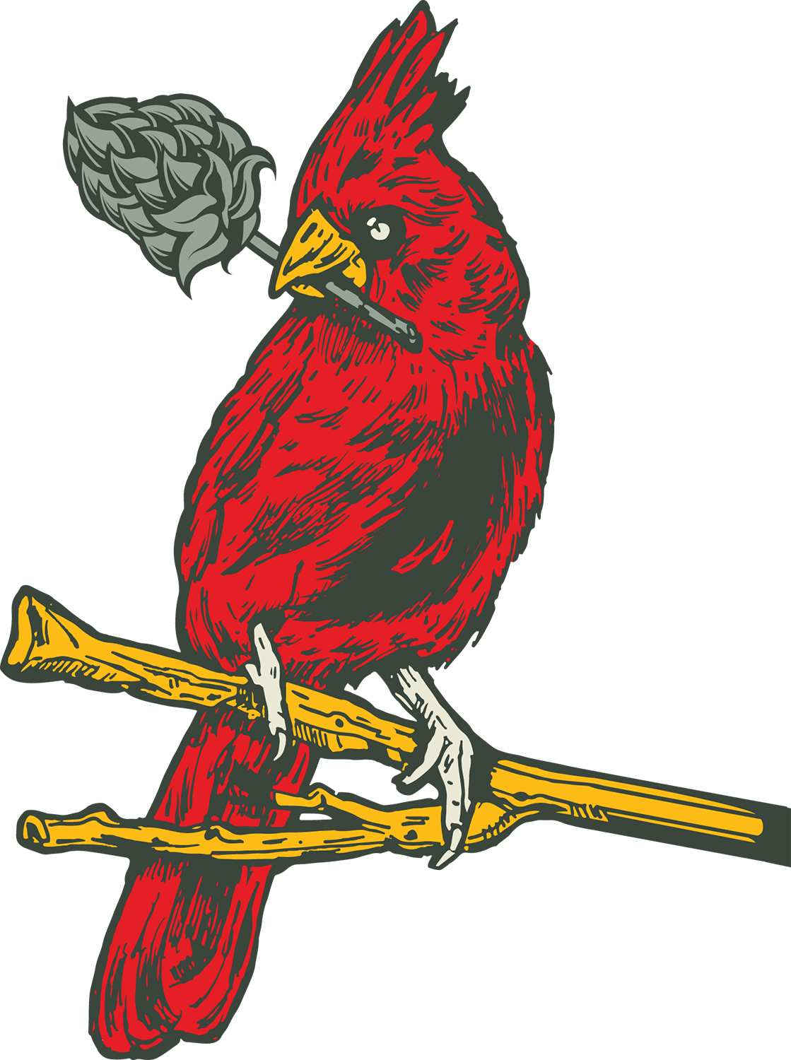 cardinal bird